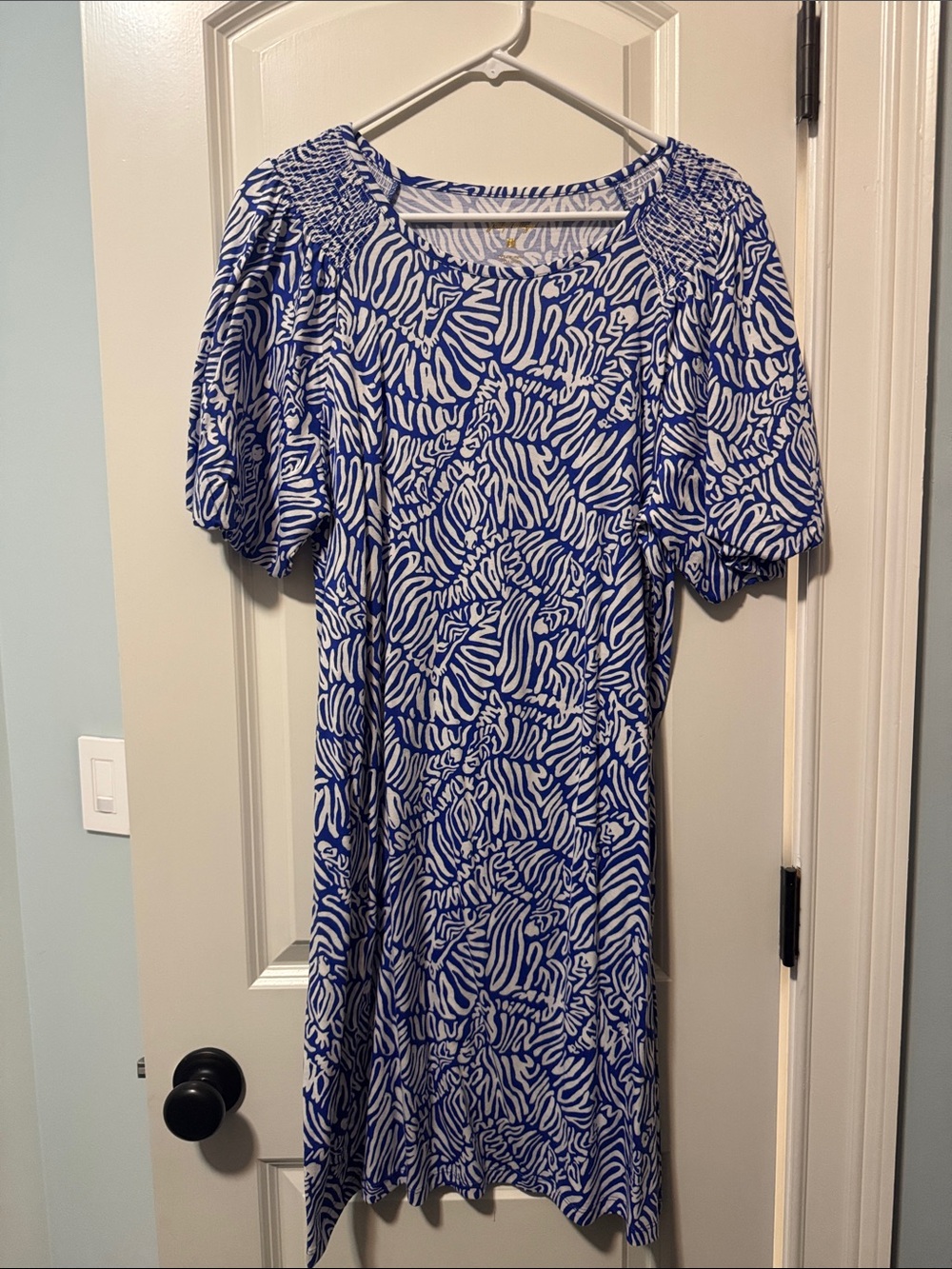 Lilly Pulitzer Blue and White Printed  Dress